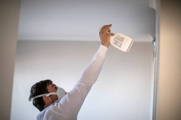 Best White Mold Remediation in Skokie, IL